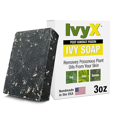 「sckng.w 」la basic IVY English Ivy (Hedera helix) – In Stock Near You | Calloway's Nursery